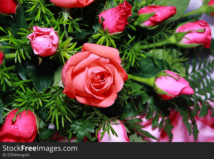 Flowers and roses. Remove the ornamental beauty. Flowers and roses. Remove the ornamental beauty