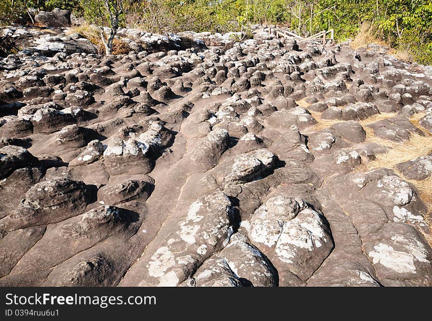 Rocky ground button that occurs naturally. Rocky ground button that occurs naturally