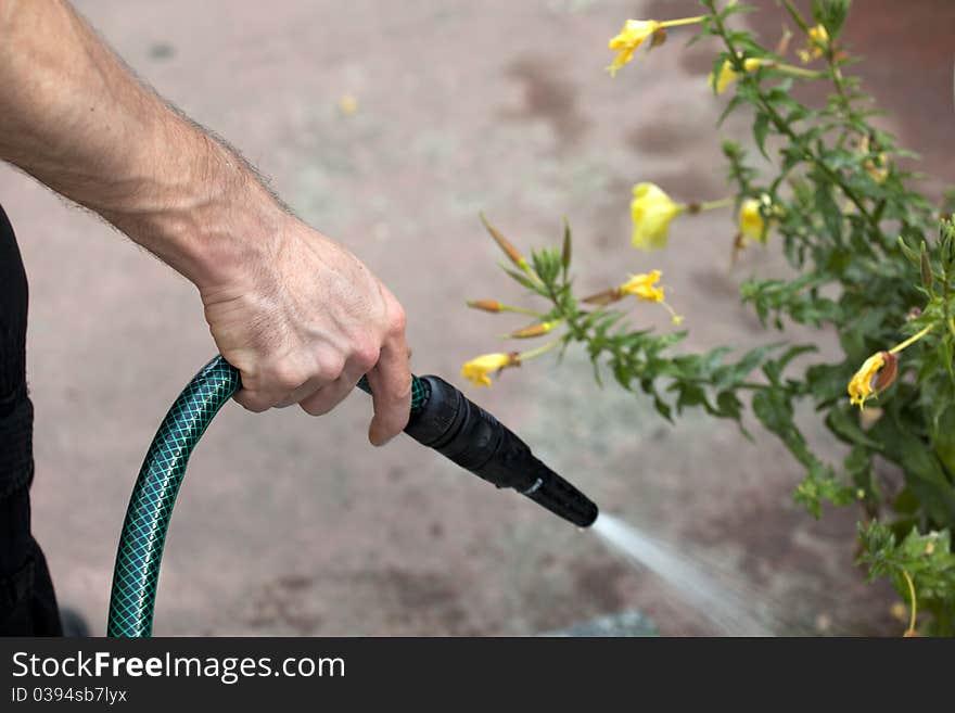 A detail view of garden watering