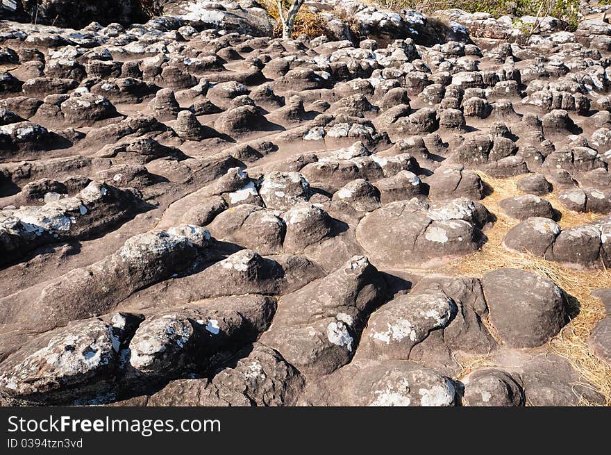 Rocky ground button that occurs naturally. Rocky ground button that occurs naturally