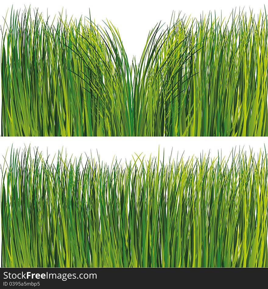 Grass set. Vector illustration. Gradient only