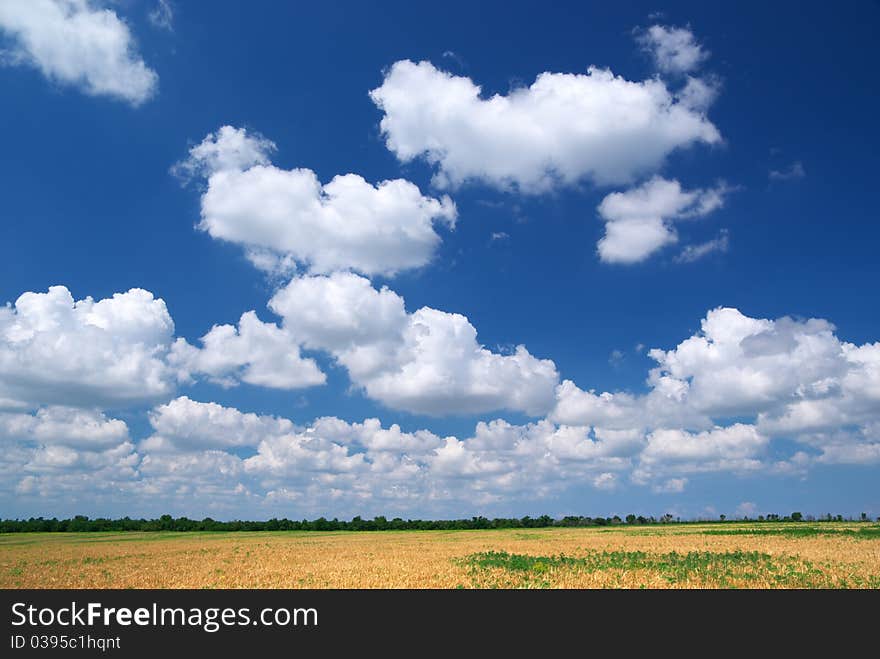 Spring cloudscape.Composition of nature composition. Spring cloudscape.Composition of nature composition.