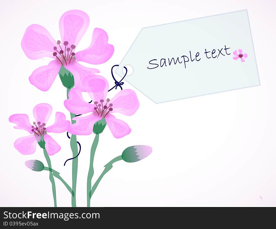 Illustration Flower with Card - paste your text. Illustration Flower with Card - paste your text