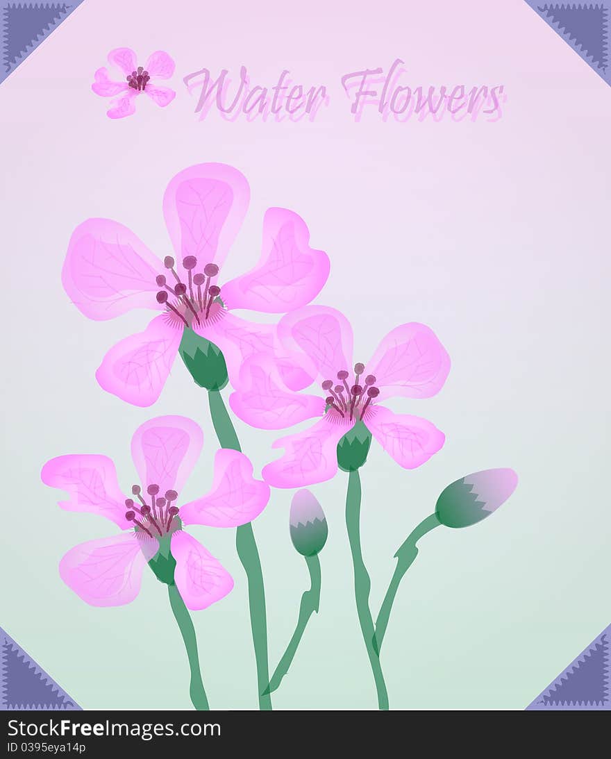 Water Colored Flowers Illustration, soft tones. Water Colored Flowers Illustration, soft tones