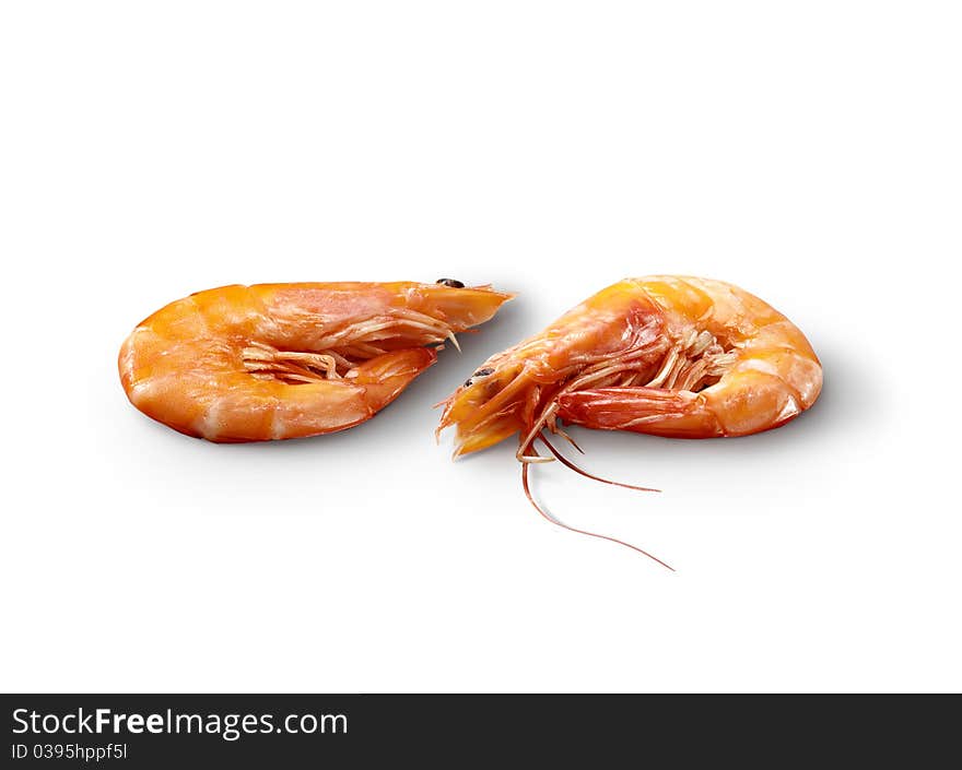 Pair Of Shrimp