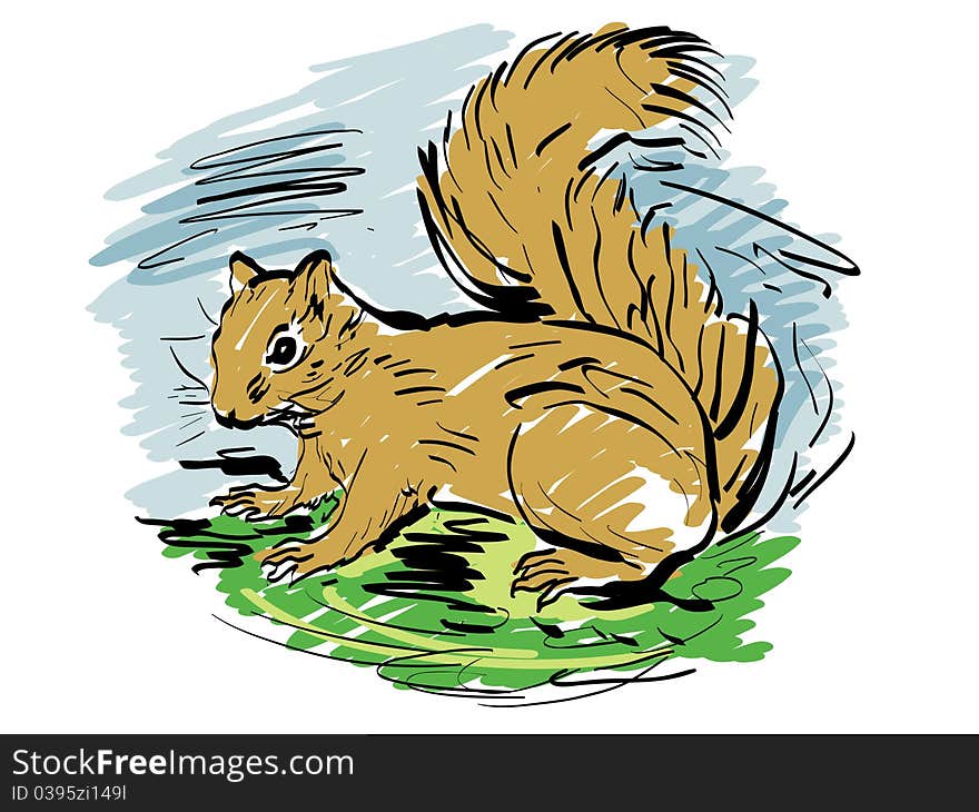 Squirrel