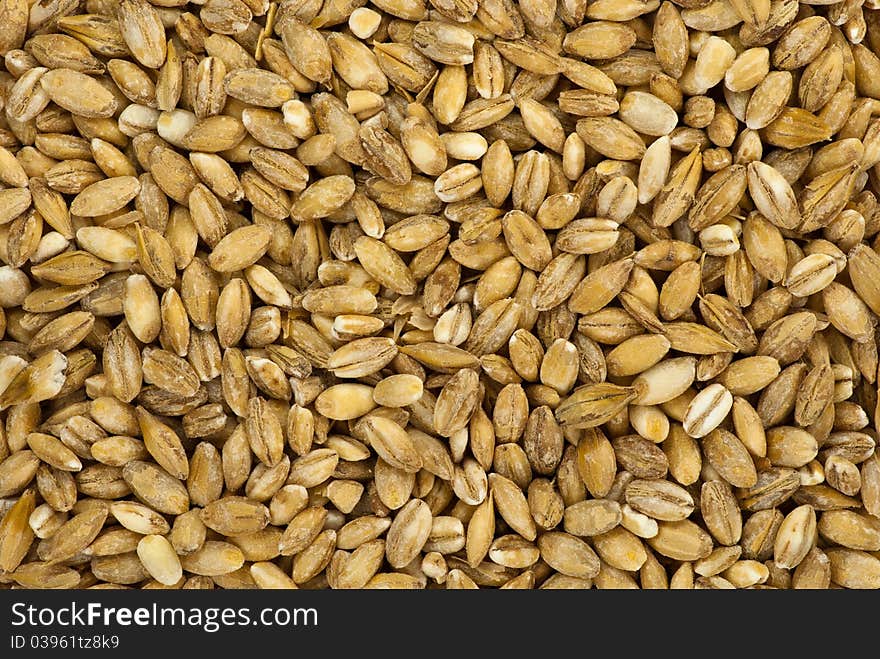 Pearl Barley Macro Background