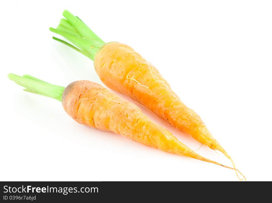 Fresh carrot isolated on white background