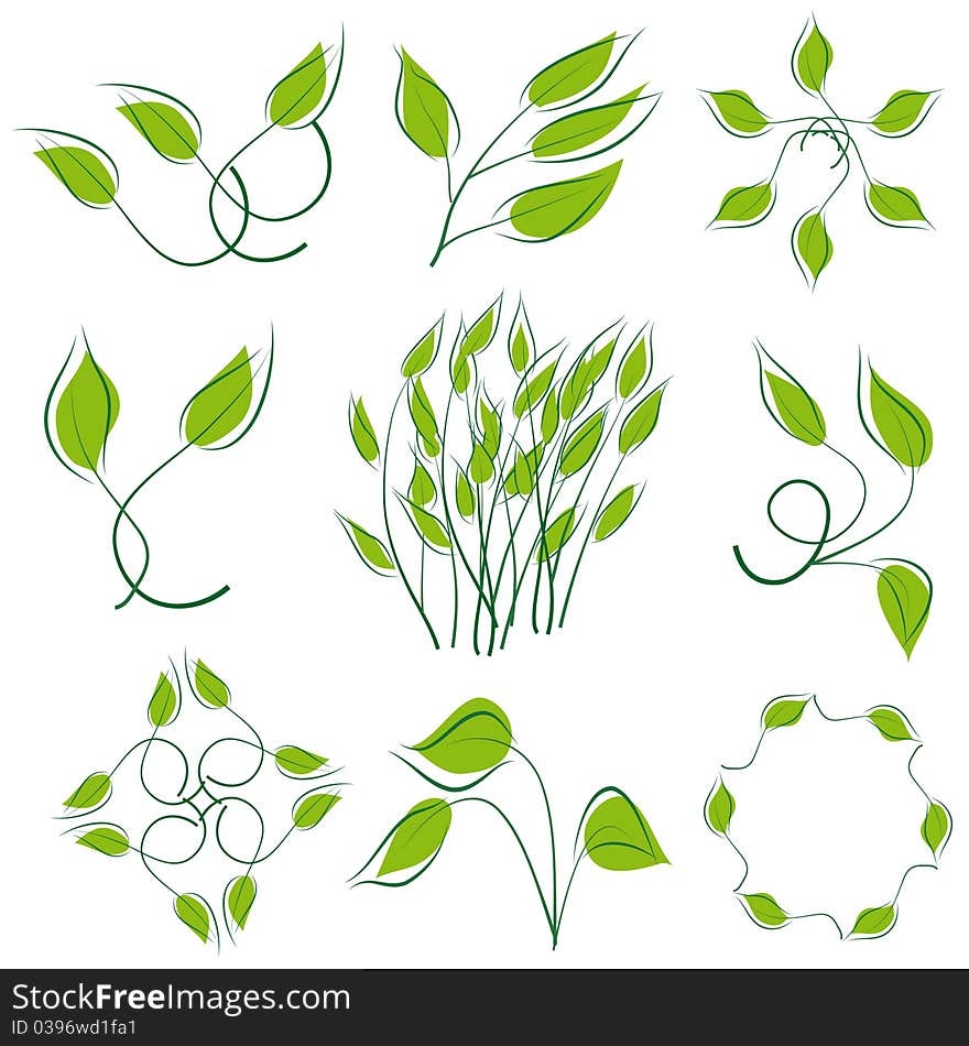 A set of green leaves