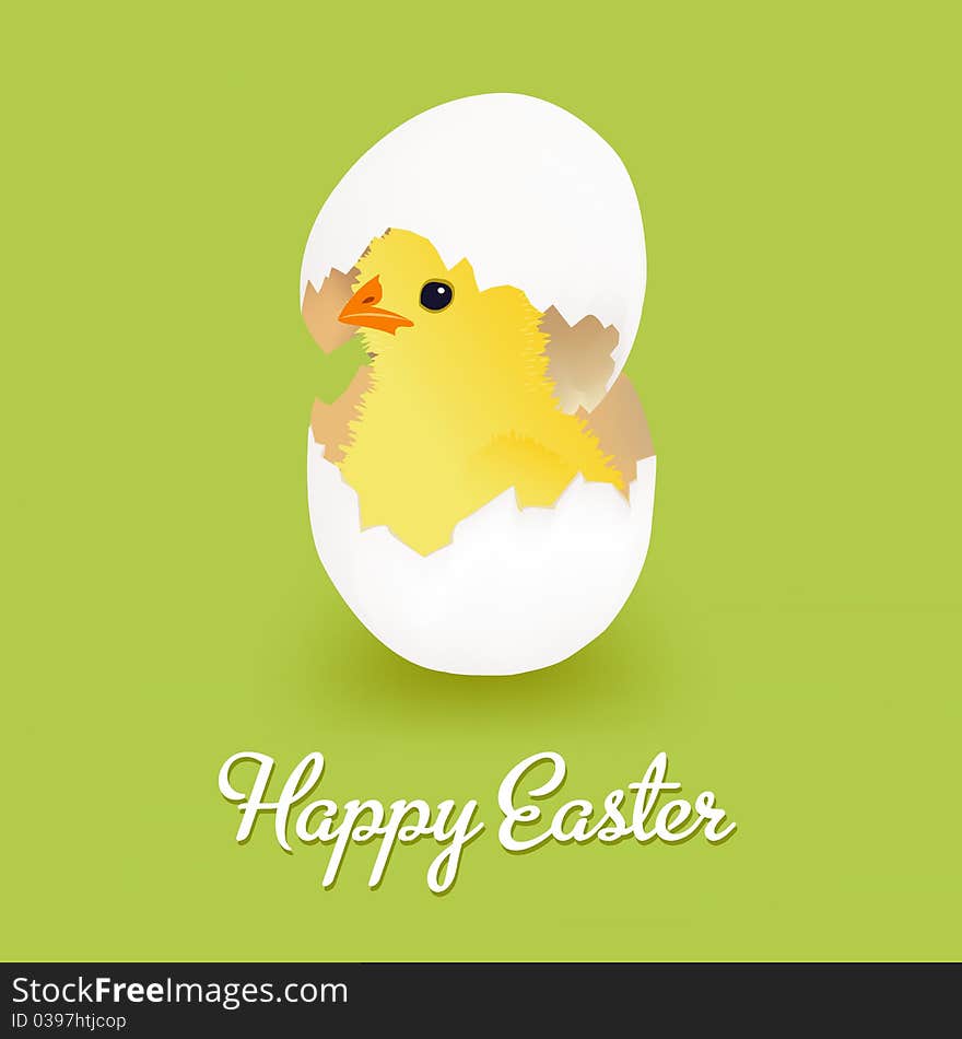 Chicken Hatched From Egg, Isolated On White Background, Vector Illustration. Chicken Hatched From Egg, Isolated On White Background, Vector Illustration