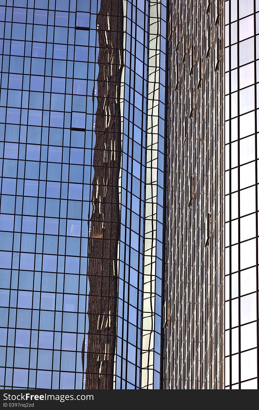 Windows of office buildings