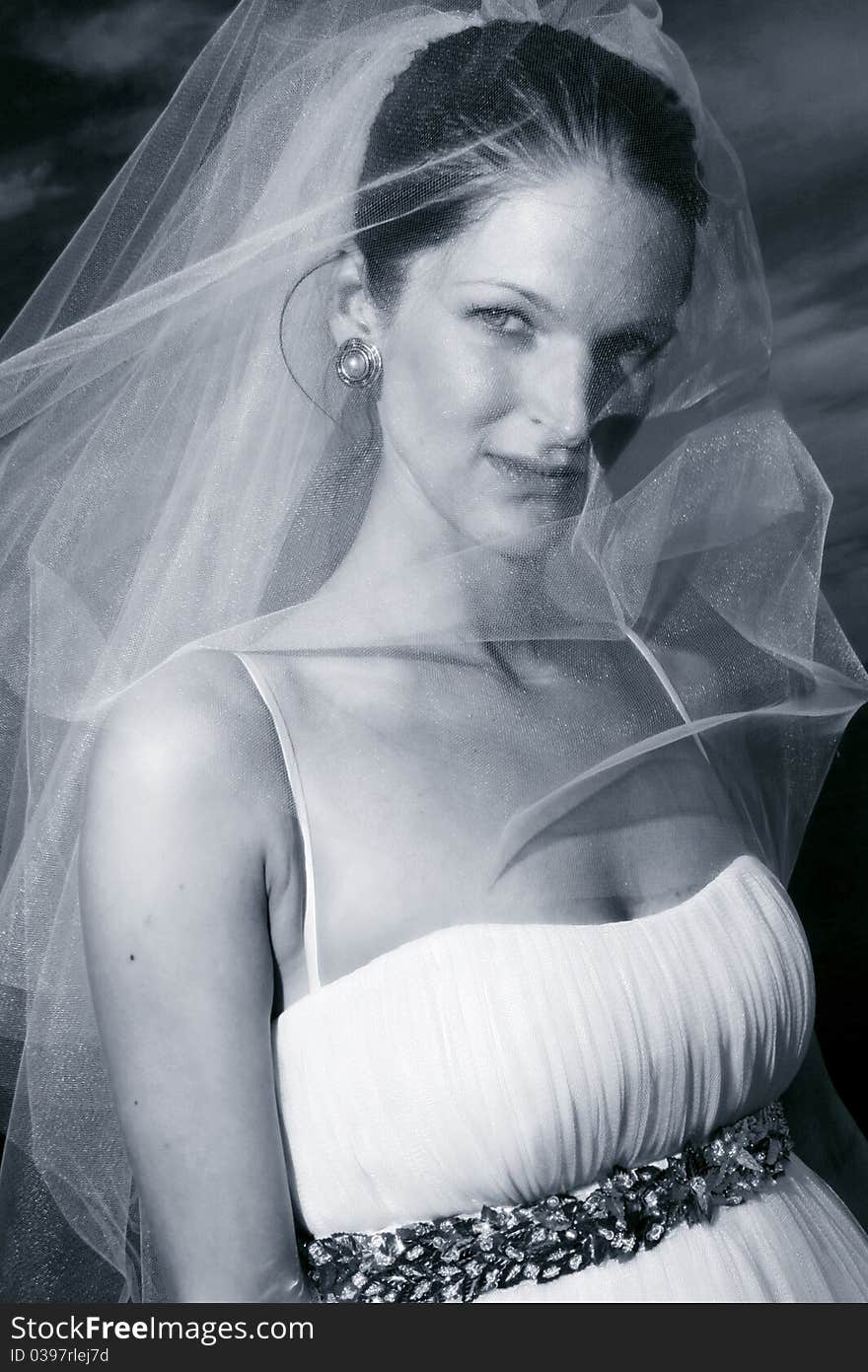 Beautiful bride with veil