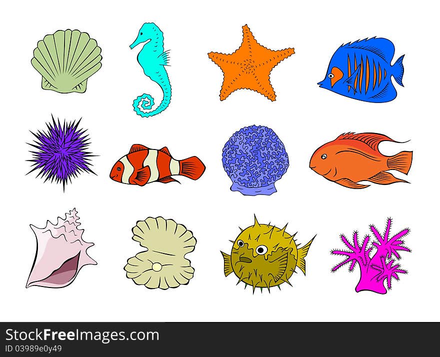 An assortment of underwater creatures. An assortment of underwater creatures