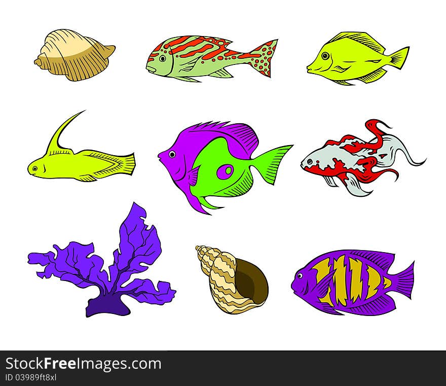 An assortment of underwater creatures. An assortment of underwater creatures