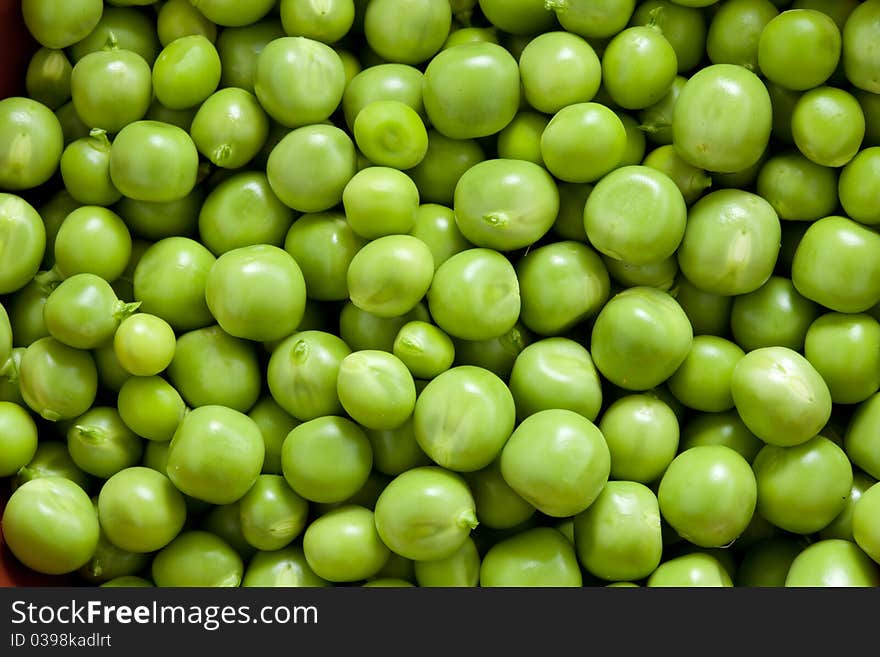 Shelling peas close up. Picture food ingredients