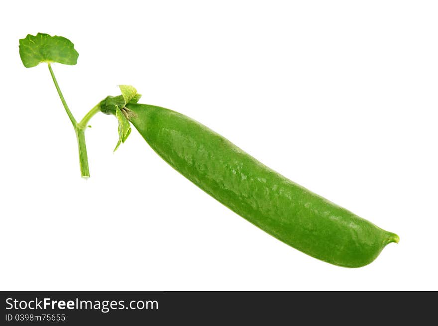 Fresh green pea pod isolated on white background