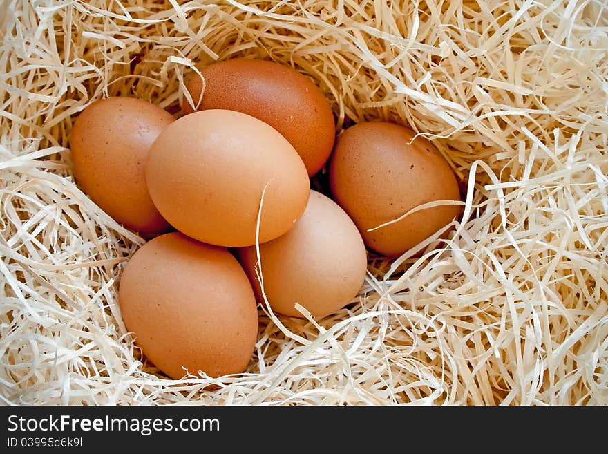 Six heg eggs