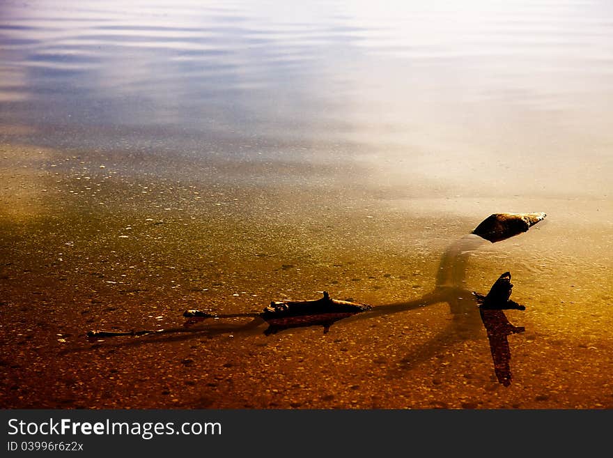 Colorful, peaceful seaside with gentle waves. Colorful, peaceful seaside with gentle waves.