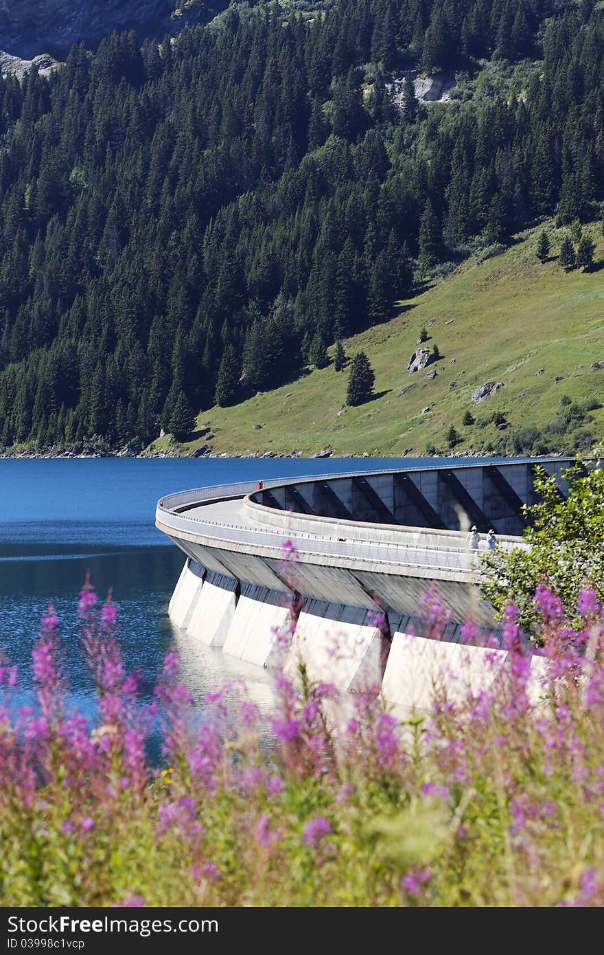 Vertical Flowers And Weir