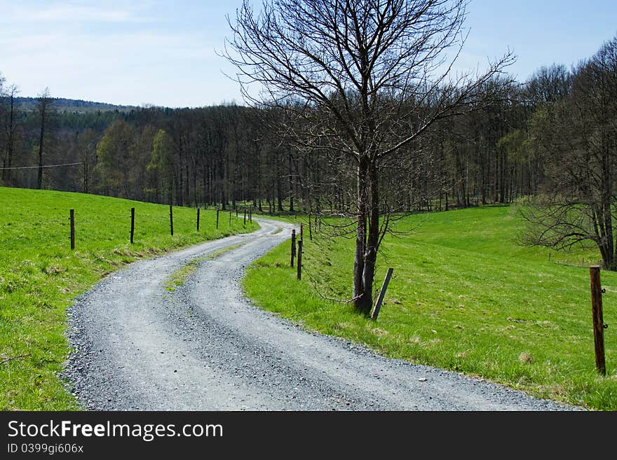 Track Between Meadows