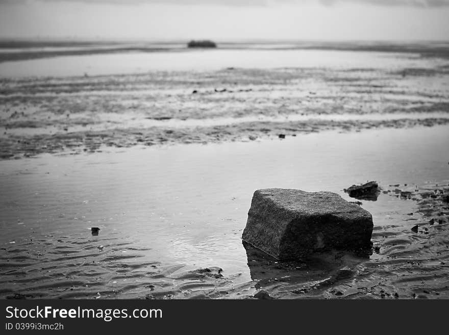 Lonely rock at the beach of Terschelling