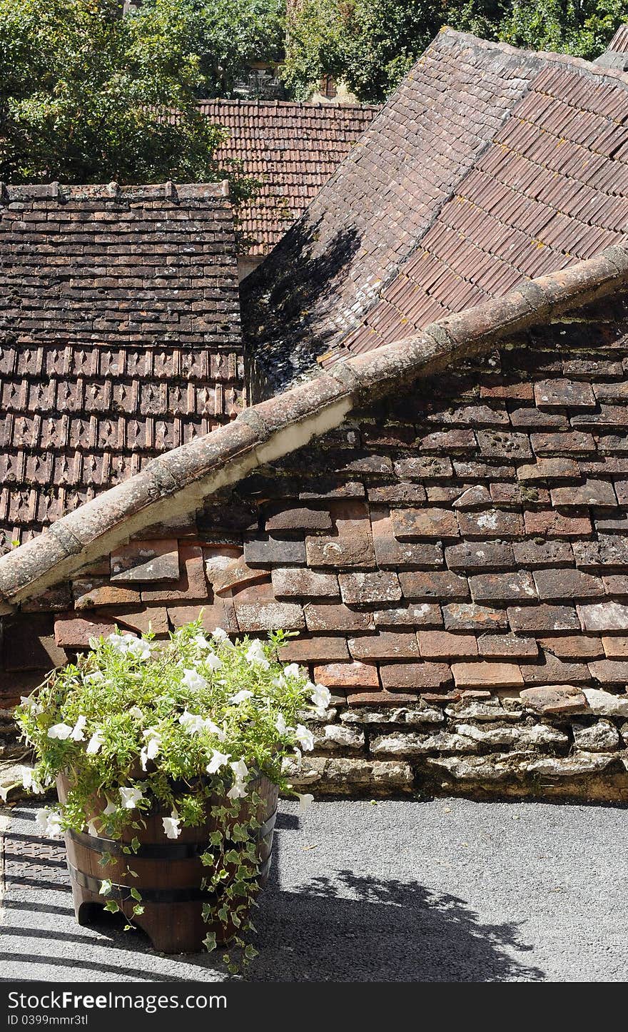 Angles of old roofs with plant in front. Angles of old roofs with plant in front.