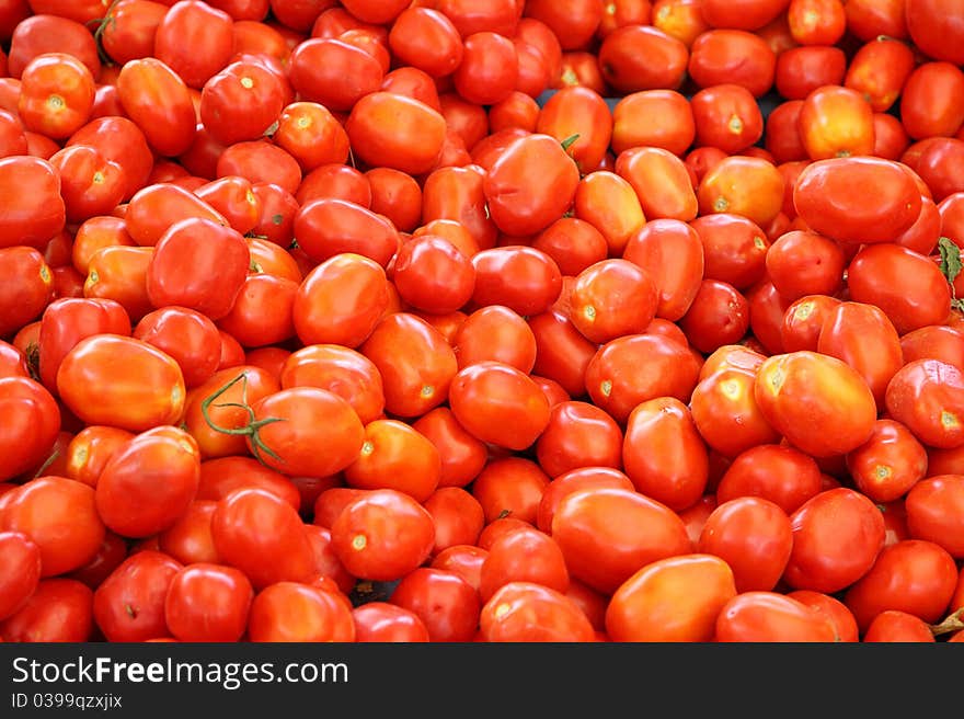 Fresh tomatoes.