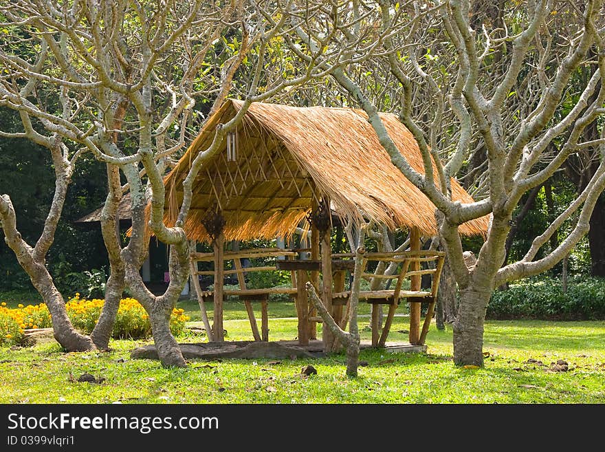 Wonderful tree home in the park