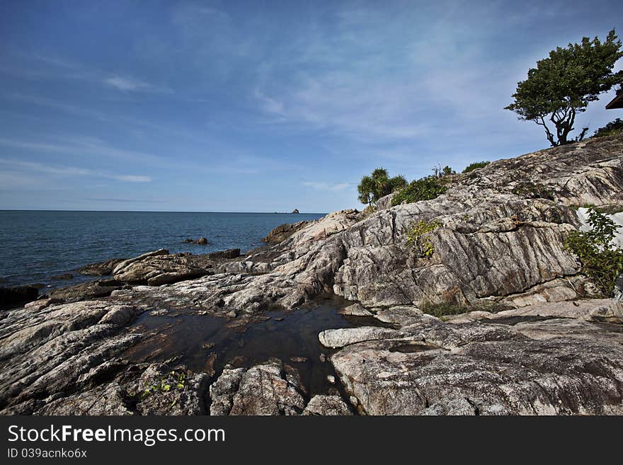 Sea rock tree landscape nature. Sea rock tree landscape nature