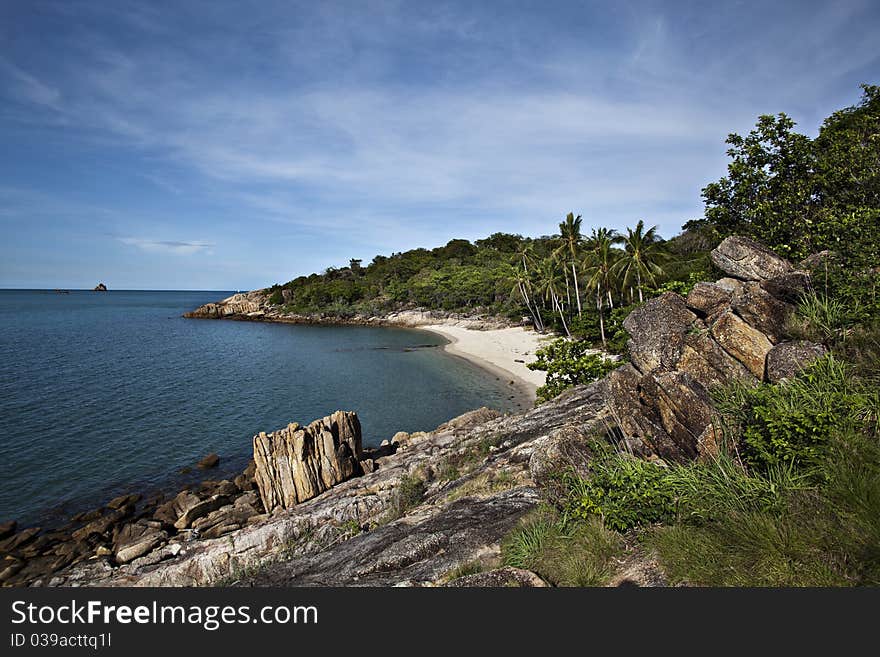 Sea rock tree landscape nature. Sea rock tree landscape nature