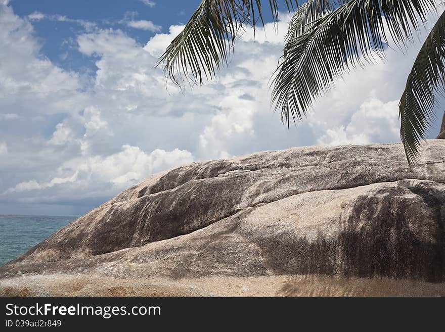 Rock with palm and clouds