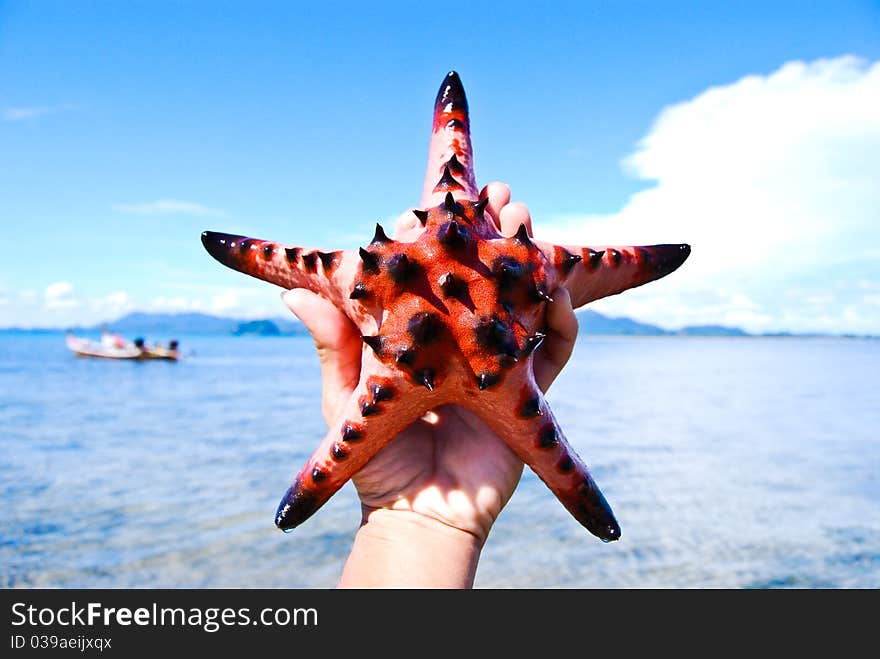 Starfish and sky, sea, Thailand. Starfish and sky, sea, Thailand.