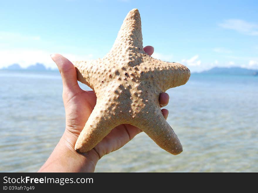 Starfish and sky, sea, Thailand. Starfish and sky, sea, Thailand.