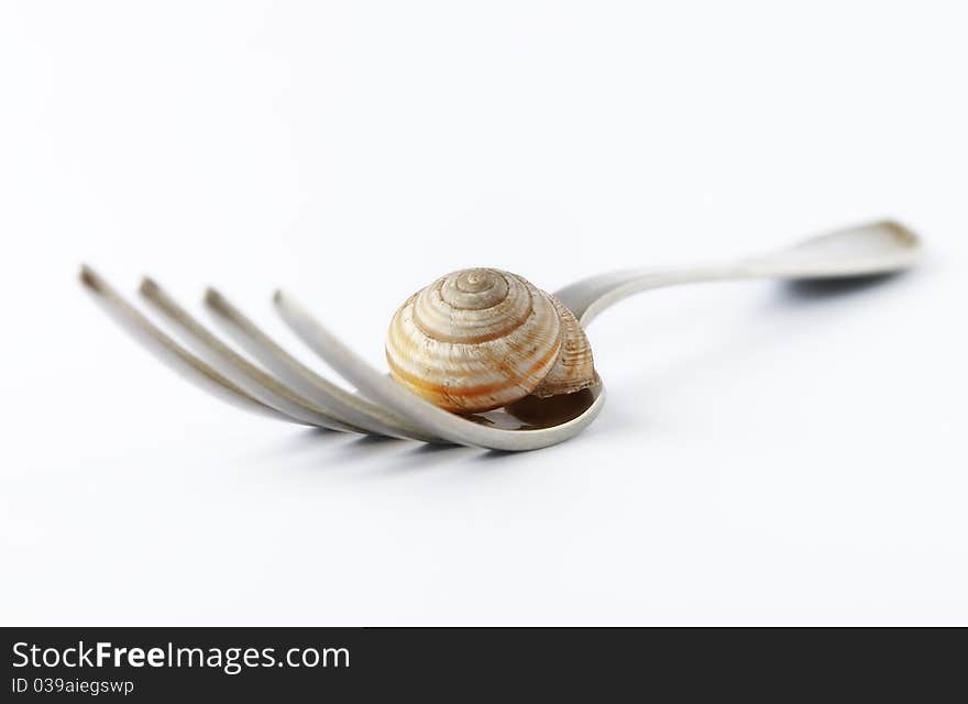 Plug with a snail