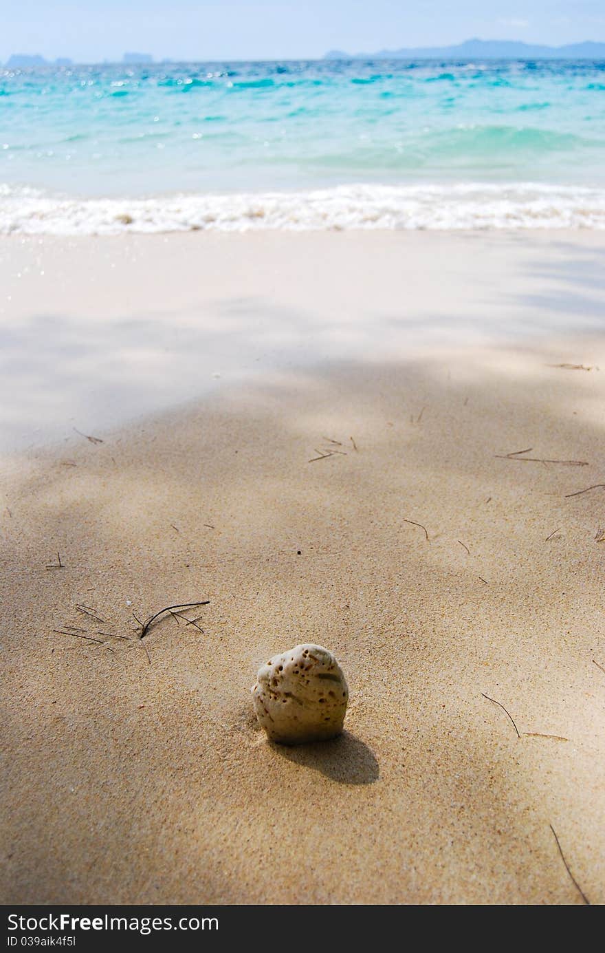 Coconuts To The Sea.