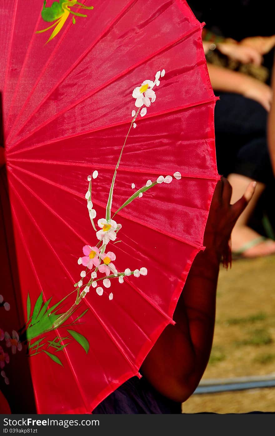 Colorful Shade Umbrella