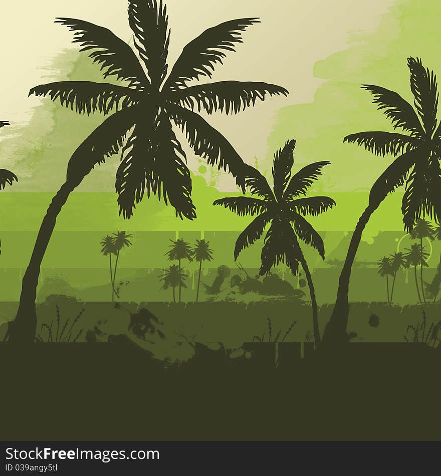 Palm Tree