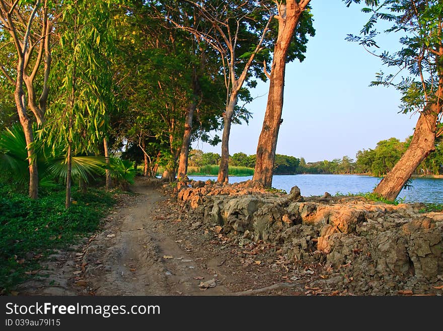 Clay walk path near the lake with green trees