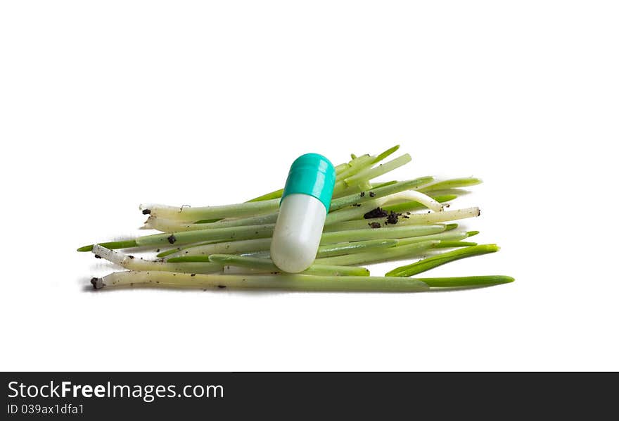 Capsule among a grass on white background. Capsule among a grass on white background.