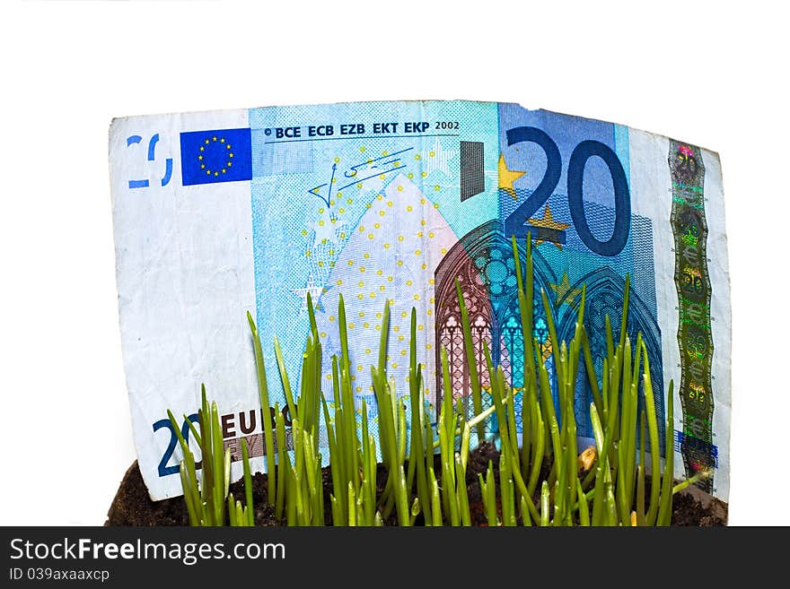 Twenty euro note bill at grass meadow. Twenty euro note bill at grass meadow