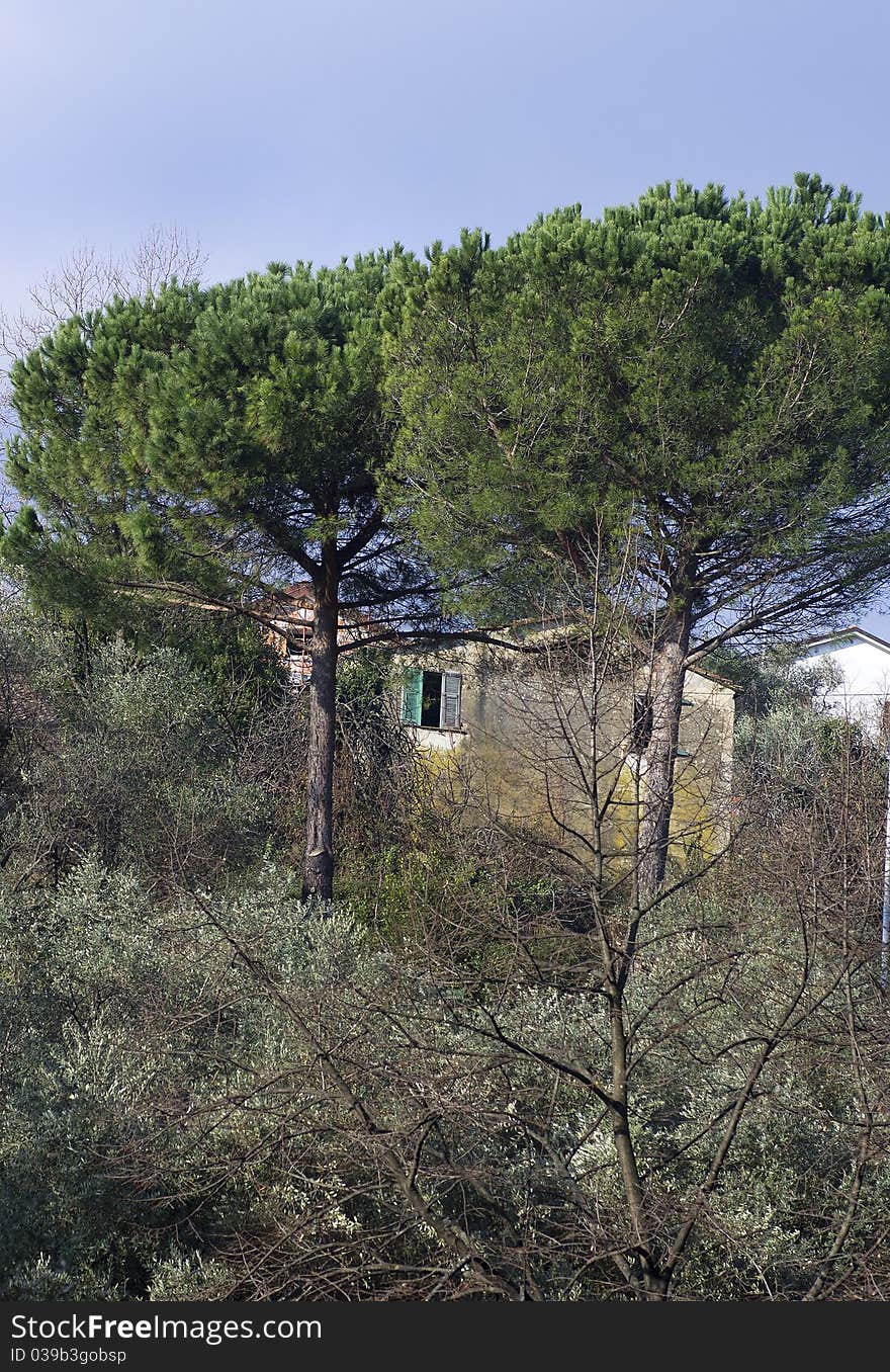 Detail of framura,nice village in liguria,italy