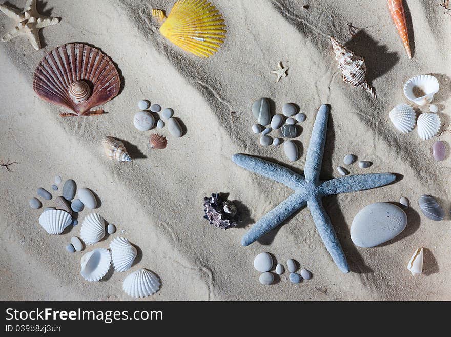 Original sea stuff on the sand. Original sea stuff on the sand.