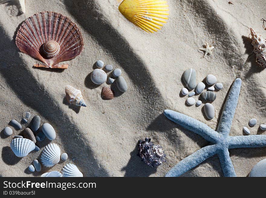 Original sea stuff on the sand. Original sea stuff on the sand.