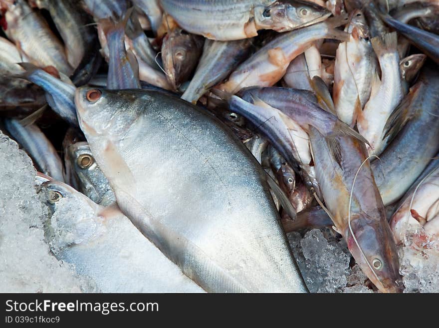 Many of raw cat  fish sell in local fresh market. Many of raw cat  fish sell in local fresh market