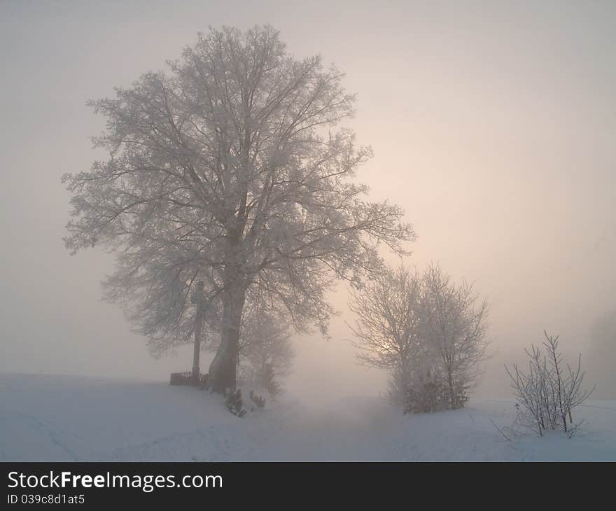 Winter landscape on a misty morning. Winter landscape on a misty morning