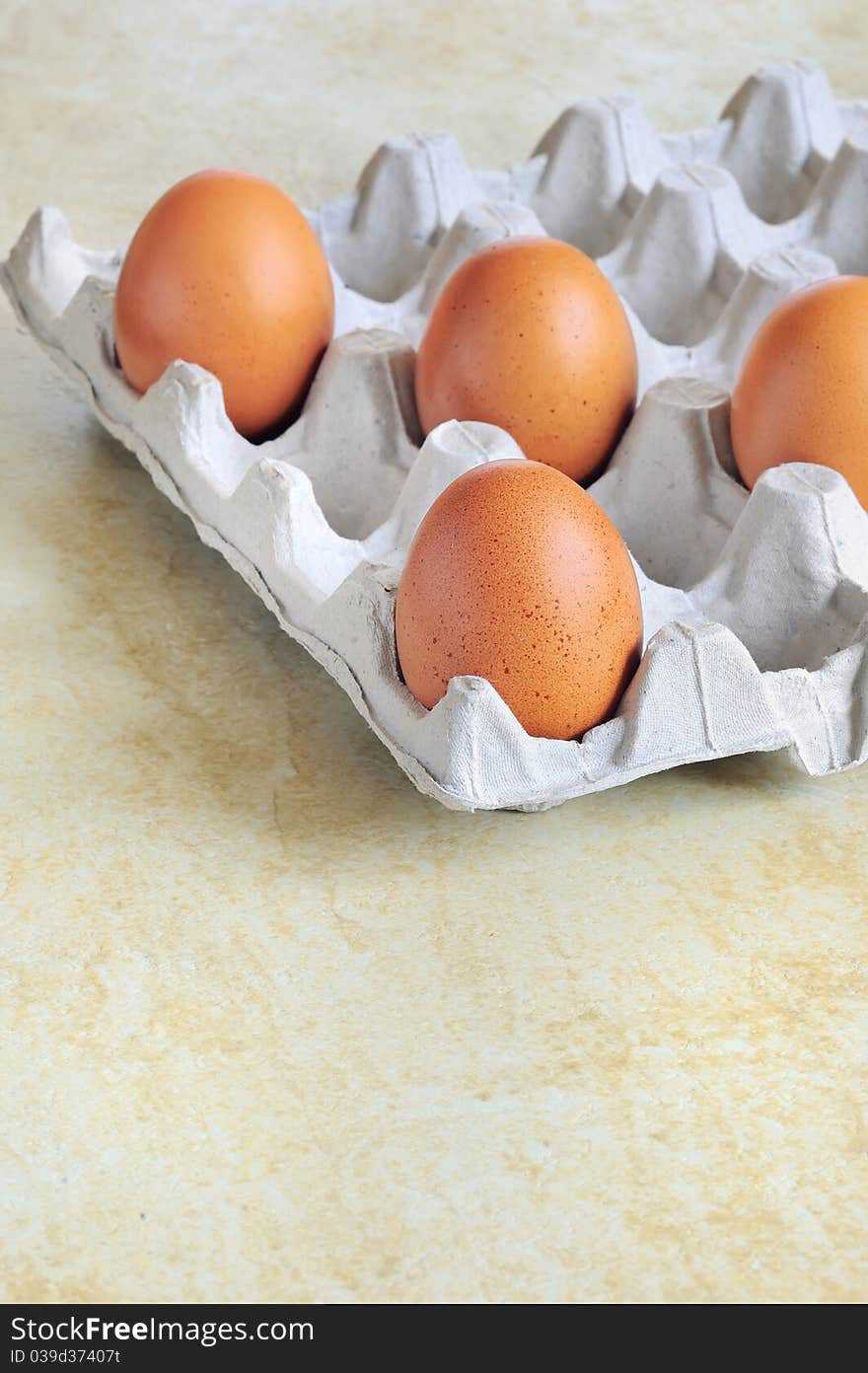 Eggs in cardboard isolated in studio