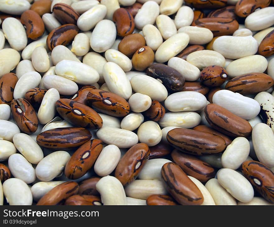 White and brown kidney beans texture background patern