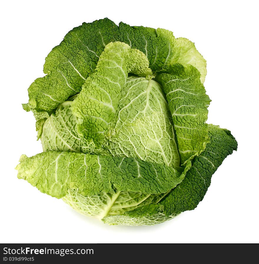 Cabbage isolated on white background