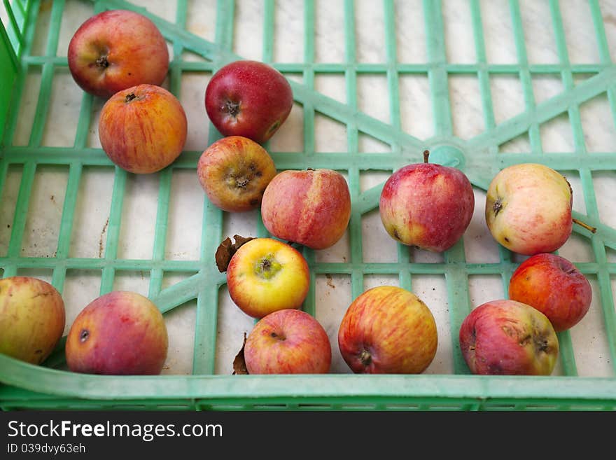 A box with biological apples