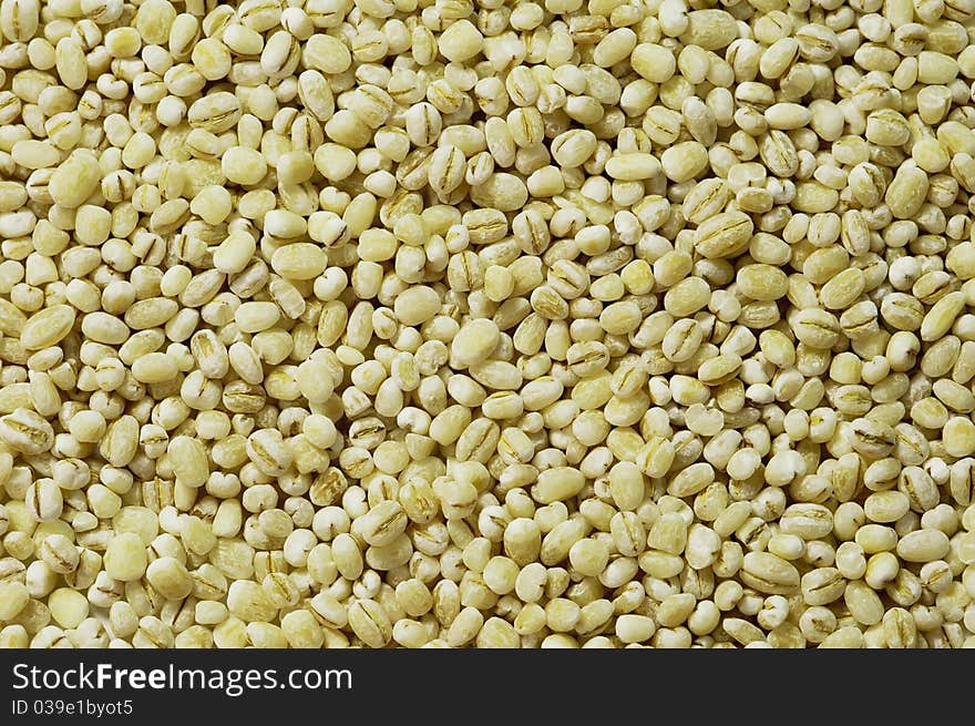 Loose pearl barley, horizontal texture